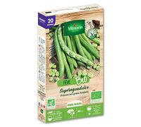 Fève Superaguadulce - 20 m - BIO