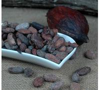 fèves de cacao Equateur non traitées 500 g