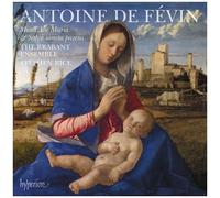 Fevin: Missa Ave Maria Missa Salve Sancta Parens [Cd]