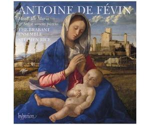 Fevin: Missa Ave Maria Missa Salve Sancta Parens [Cd]