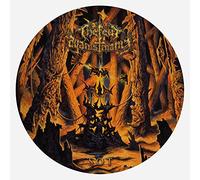 Few Against Many - Sot