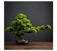 FEWDSCA Bonsai Artificiel Fausses Plantes Vertes Plante En Pot Décoration de Bureau Simulation Bonsai de Pin de Bienvenue Pour La Décoration de Bureau Salon Entrée Salle de Thé/C. B