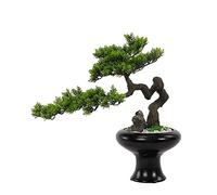 FEWDSCA Bonsai Artificiel Salon Porche Simulation Érable Décoration Modèle Chambre Fin Vue Station Tv Cabinet Fausse Plante Hôtel Décoration/C. B