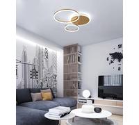 FEWDSCA Led Plafonnier Moderne Salon Plafonniers Ronds Créatifs Plafonniers Intérieurs Avec Télécommande 3000K 6500K Chambre À Coucher Salle À Manger/Or/2 + 1 Tête