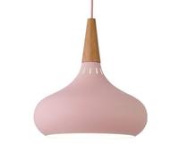 FEWDSCA Lumières Pendentives Lampe Pendentive À Tête Unique Intérieure Couleur Lampe Suspendue En Métal Ombrelle Salon Industriel Moderne Chambre À Coucher Bar Décorations/Rose/22 Cm