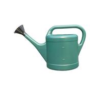 FewNvWa Arrosoir pour Plantes D'intérieur et de Jardin, Design Vintage, Arrosoir Décoratif pour Fleurs, Outil de Jardinage pour La Maison, Plantes Suspend, 3l