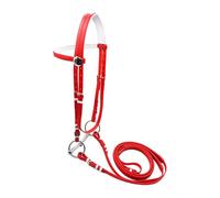 FewNvWa Bride Cheval Licol PVC avec Rênes Détachables Têtière Ergonomique Antidérapante Embouchure Creuse Inoxydable Accessoire Polyvalent Adapté à L, L Red
