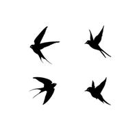 FewNvWa Décoration Murale Rustique En Fer Forgé, Composée de 4 Oiseaux, Idéale pour Une Bibliothèque, Une Chambre Ou Une Salle de Bain.