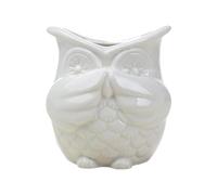 FewNvWa Pot de Fleurs D'intérieur en Forme de Hibou, Style Japonais Mignon, Idéal pour La Décoration Intérieure (Bureau, Maison, Balcon), Aucune Odeur Blanc
