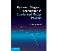 Feynman Diagram Techniques In Condensed Matter Physics