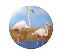 FEYUNYAN Badge durable pour vestes, sacs, cadeaux, badges de collection en fer blanc vif pour événements, enseignants, amis, flamant rose dans l'eau, alternative aux patchs thermocollants en vrac, 1