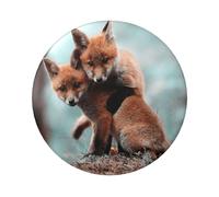 FEYUNYAN Badge durable pour vestes, sacs, cadeaux, badges de collection en fer blanc vif pour événements, enseignants, amis, adorable renard animal, insigne rond, alternative aux patchs thermocollants