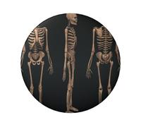 FEYUNYAN Badge durable pour vestes, sacs, cadeaux, badges de collection en fer blanc vif pour événements, enseignants, amis, trois crânes ronds, alternative aux patchs thermocollants en vrac, 1 pièce