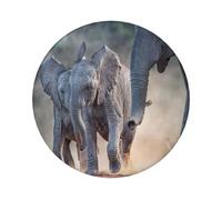 FEYUNYAN Badge durable pour vestes, sacs, cadeaux, badges de collection en fer blanc vif pour événements, enseignants, amis, deux éléphants jouant rond insigne rond, alternative aux patchs