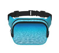 FEYUNYAN Grand sac banane carré, sac banane double couche, sac en sergé résistant à l'eau avec ceinture réglable et poche antivol pour randonnée, cyclisme, paysage sous-marin tranquille, 23 x 16 cm