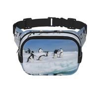 FEYUNYAN Grand sac banane carré, sac banane double couche, sac en sergé résistant à l'eau avec ceinture réglable et poche antivol pour randonnée, cyclisme, pingouin, 23 x 16 cm, pingouin, Taille