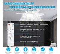 FF Ventilateur de plafond avec lumière et télécommande, petite LED dimmable, 52 cm, avec douille E27, 6 pales, 3 vitesses