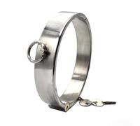 FFBHBLD Colliers SM en Acier Inoxydable avec Anneau Torique, Collier Ras-du-Cou Verrouillable, Collier en Métal, Cosplay, Esclave, Torture Fétichisme Jeux pour Adultes, Ø 13.7mm