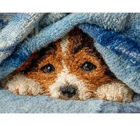 FFDONGTEGO Kit de Fabrication de Tapis,Animal chien,un adorable petit chien,Point Noué à Faire Kit de Fabrication de Tapis pour Adultes et Débutants,Broderie DIY Bricolage,52x38cm