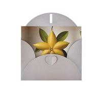 FFGhjk Carte de vœux imprimée étoile à cinq branches grise (avec enveloppe) | 15,2 x 10,2 cm - Parfaite pour Thanksgiving, anniversaires, mariages, fêtes de vacances