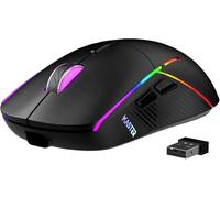 FFJ Souris de jeu sans fil, 24 000 DPI, trimode 2,4 G/USB-C/Bluetooth 5.3, souris de jeu programmable RVB, autonomie de 75 heures, souris de jeu rechargeable pour PC, Mac, PS5, Xbox - Noir