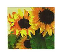 FFLSDR Tapis de séchage de Vaisselle, Trois tournesols Jaunes colorés Tapis d'égouttoir à Vaisselle Absorbant Tapis d'évier 41X46 CM