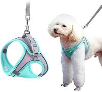 FFWTPY Harnais Maille Respirant Ajustable Chien Gilet Confort Laisse Incluse Promenade Sécurité Animaux Compagnie (Vert M)