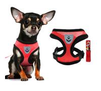 FFWTPY Harnais Respirant Maille Ajustable Gilet Confort Promenade Chien Chihuahua Petit Moyen Animaux Compagnie Laisse Attache Sécurité