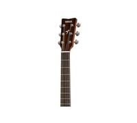 FG800M Matte guitare folk