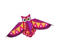 FGDTREE Cerf-volant hibou pour enfants activités de plein air coloré couleur vive design haute résistance au vent cadre en fibre de verre facile