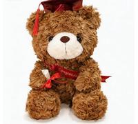 FGen 23 cm Peluche Personnalisée,Ours en Remise des diplômes 2024, Peluche Ours avec Diplôme et Chapeau de Docteur, Graduation Bear pour Les Filles et Les Garçons (Casquette Rouge, Marron foncé)