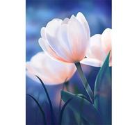 fghgbf Fleurs de tulipe 5D Diamond Painting,Peinture Diamant Adulte,Round Drill DIY Diamond Painting Complet 5D Diamond Painting Kit pour Adultes Débutants Murale Décor 30x40cm