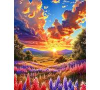 fghgbf Peinture Numero Adulte,Coucher soleil sur le terrain DIY Kits de Peinture au Numéro,Acrylique Peinture par Numéros avec Pinceaux Peinture Paint by Numbers pour Décor Maison avec cadre,40x50cm