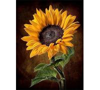 fghgbf Peinture Numero Adulte,Tournesol DIY Kits de Peinture au Numéro,Acrylique Peinture par Numéros avec Pinceaux Peinture Paint by Numbers pour Décoration Maison et Cadeau avec cadre,55x70cm