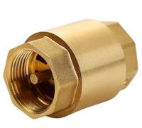 FGNIWAAE Clapet Anti-Retour en Laiton Haute Pression - Clapet à Ressort Robuste for Conduite d'eau, résistant aux Hautes températures et Protection Contre Les refoulements(1.25In)