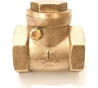 FGNIWAAE Clapet Anti-Retour Horizontal en Laiton 1/2" à 4" | Empêche Le refoulement d'eau | Dispositif Durable à Filetage Femelle(0.5In)