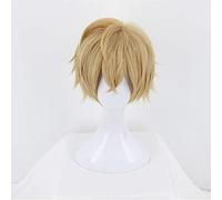 FGO Fate Grand Order Gawain Wig Cosplay Costume Fate/EXTRA Men Short Heat Resistant Synthetic Hair Party Wigs + Wig Cap