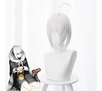FGO Lord El-Melloi II-sei No Jikenbo gris Cosplay perruque destin Grand ordre gris El-melloi Archisorte Gurei Anime perruques Perucas KUZZ235DD