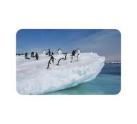 Fgwaauh Snow Mountain Tapis de douche en terre de diatomée Pingouin Antidérapant Super absorbant Séchage rapide Tapis de sol de salle de bain