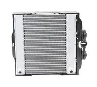 FHCBUTAE Refroidisseur Moteur pour B&MW F07 F10 F11 530i 535i 550i F06 F12 F13 640i 650i F01 F02 F03 F04 740Li 750Li 17117805630 Radiateur Auxiliaire Gauche Radiateur