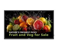 Philips Écran de signalisation 5000 Series 43BDL5050D 42,5" 4K Android 14 600 cd/m² Wi‑Fi Noir 24/7