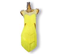 FHDCNUY Robe De Danse Latine À Franges Professionnelles Robe De Concours De Salle De Bal Tango Dos Nu Col Rond Cha Cha Salsa Performance Vêtements sans Manches,C,M