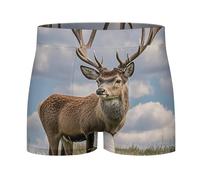 FHECVBN Boxer pour homme évacuant l'humidité avec taille confortable, Élan, 4X-Large
