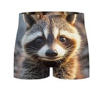 FHECVBN Boxer pour homme évacuant l'humidité avec taille confortable - Motif raton laveur, Raton laveur mignon, M