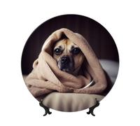 FHEDVBN Assiette décorative pour présentation, motif chien dans une couverture, assiette décorative en porcelaine anglaise de 20,3 cm, assiette à dîner en céramique avec support, ornements muraux