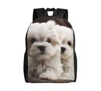 FHEDVBN Sac à dos de randonnée léger décontracté pour ordinateur portable pour homme et femme - Joli chiot maltais - Sac à dos de voyage