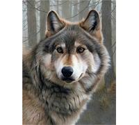 Fheeao Loup Diamond Painting 55x70cm Grand Format Broderie Diamant Painting, 5D Peinture Diamant Tableau Perle Point de Croix Kit Complet Strass DIY Adultes Enfants Femme Cadeau, Maison Décor Z-6413