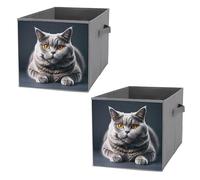 FHESDCW A Gray Cat Is Lying Lot de 2 boîtes de rangement pliables avec poignées, cubes de rangement Oxford durables, pour la maison, l'étagère, le bureau, les voyages