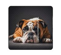 FHESDCW A Sad Bulldog Couverture de pique-nique avec sac fourre-tout à fermeture éclair, imperméable, portable, tapis d'extérieur léger et pliable pour la plage, le camping, le parc, 150 x 150 cm