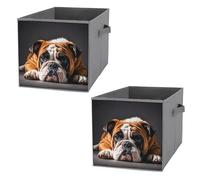 FHESDCW A Sad Bulldog Lot de 2 boîtes de rangement pliables avec poignées, cubes de rangement Oxford durables, pour la maison, l'étagère, le bureau, les voyages
